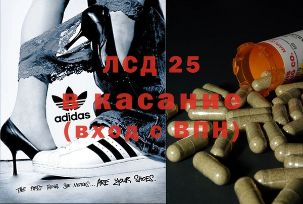 прущие крисы Арсеньев