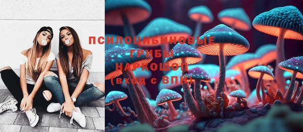 дурь Аркадак