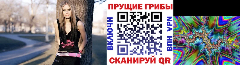 mega   Обоянь  Псилоцибиновые грибы ЛСД 